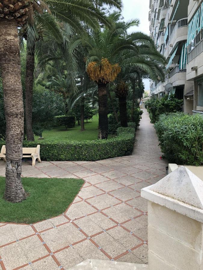 Apartamento Parque 2 Playa De Gandia Eksteriør billede
