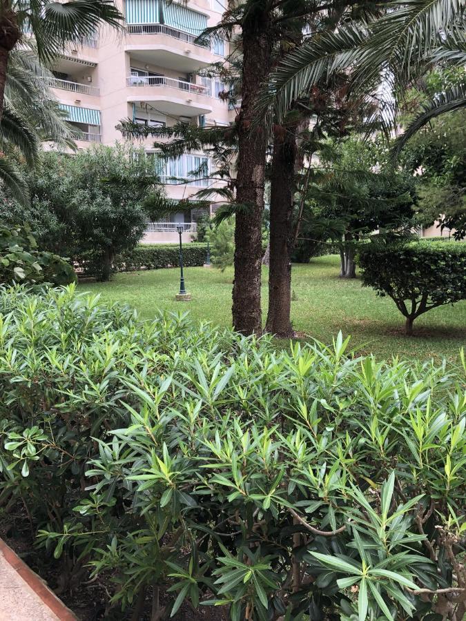 Apartamento Parque 2 Playa De Gandia Eksteriør billede