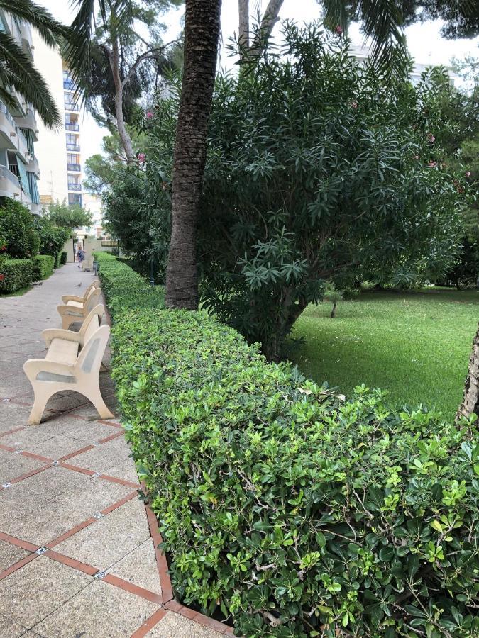 Apartamento Parque 2 Playa De Gandia Eksteriør billede