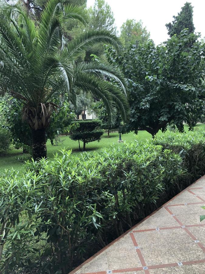 Apartamento Parque 2 Playa De Gandia Eksteriør billede